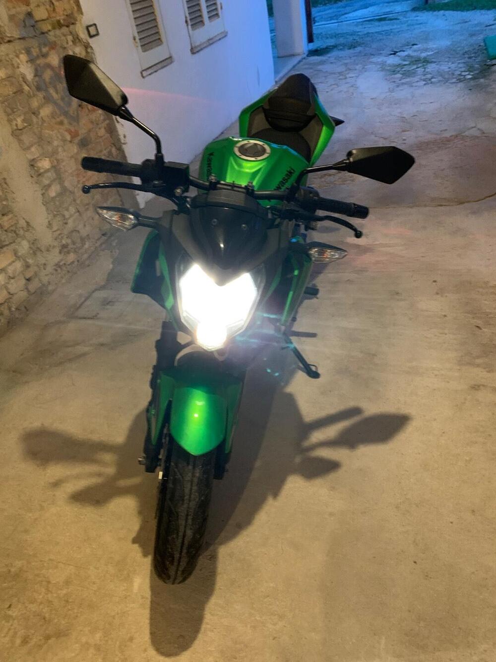 Kawasaki Z 125 (2019 - 20) (8)