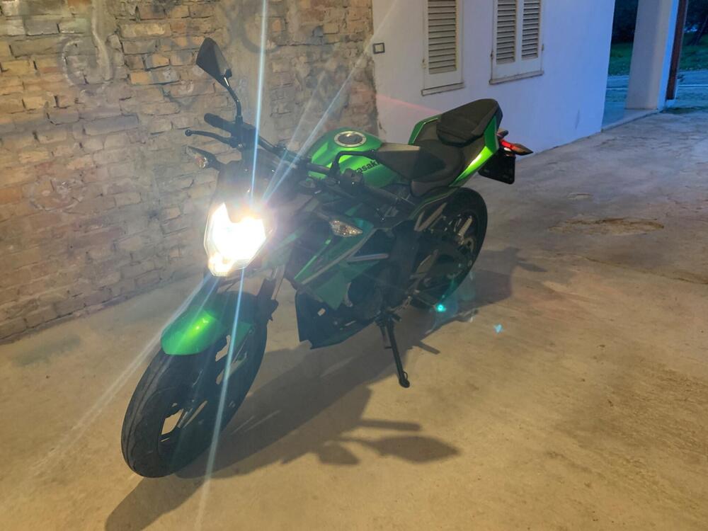 Kawasaki Z 125 (2019 - 20) (9)