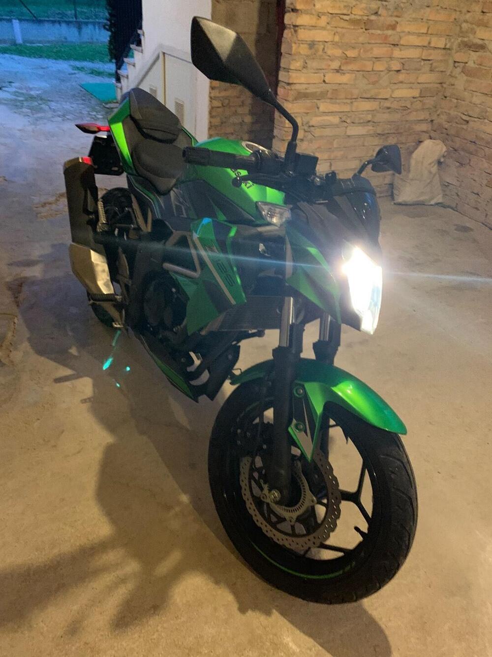 Kawasaki Z 125 (2019 - 20) (10)