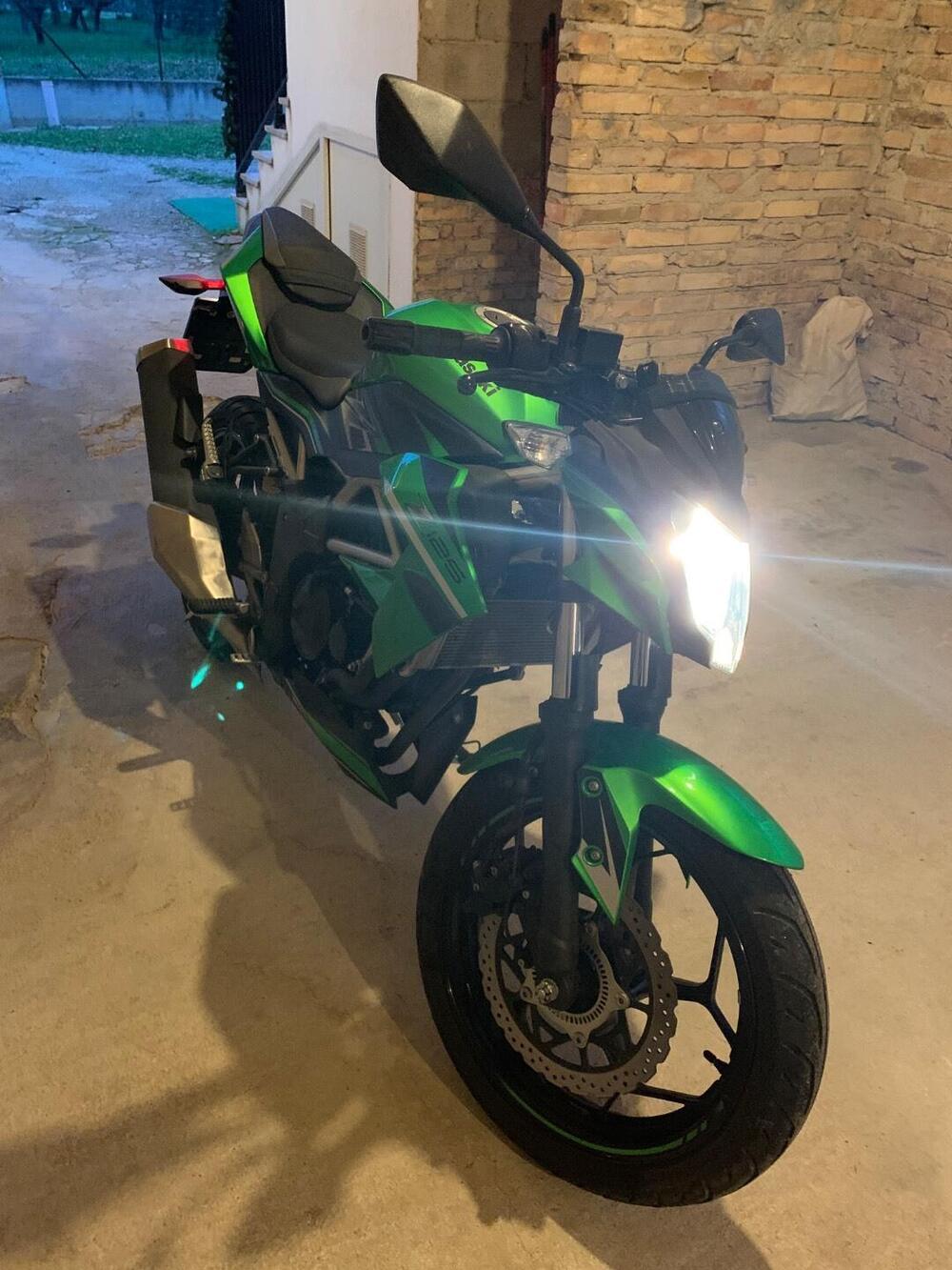 Kawasaki Z 125 (2019 - 20) (11)