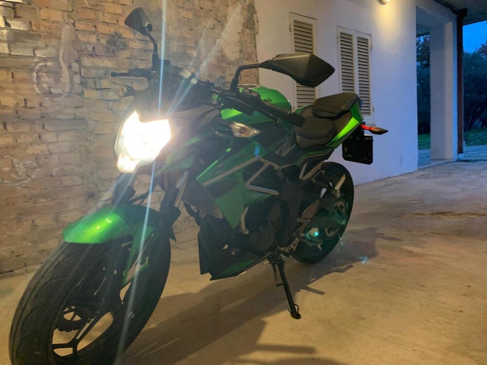 Kawasaki Z 125 (2019 - 20) (13)