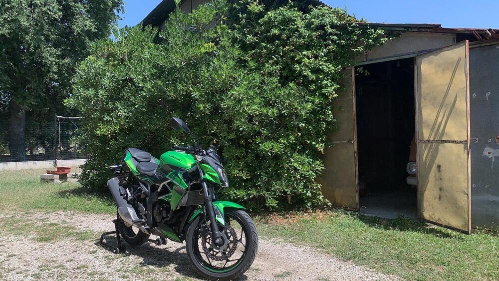 Kawasaki Z 125 (2019 - 20) (14)