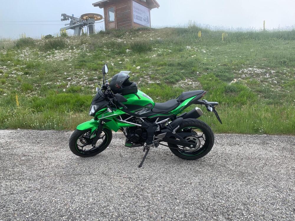 Kawasaki Z 125 (2019 - 20) (15)