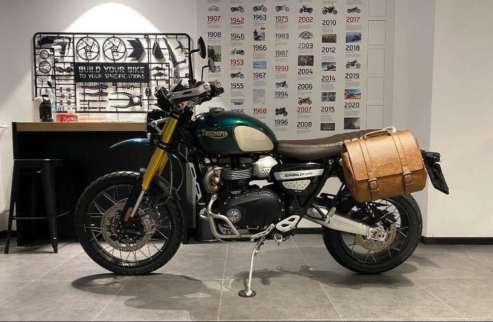 Triumph Scrambler 1200 Steve McQueen Edition (2021 - 22) (2)