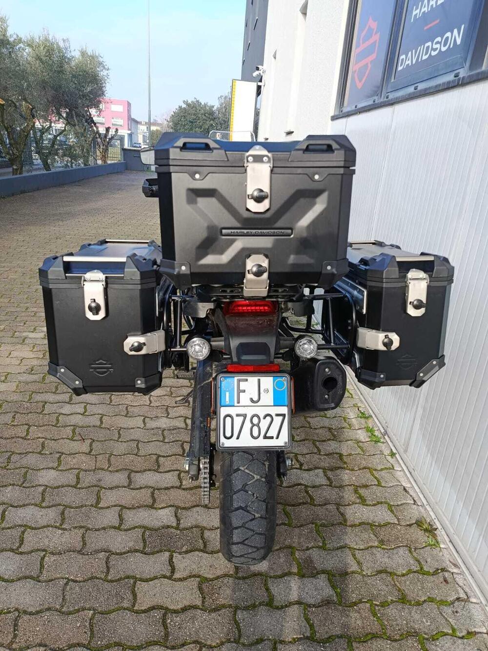 Harley-Davidson Pan America 1250 Special (2020 - 25) (5)