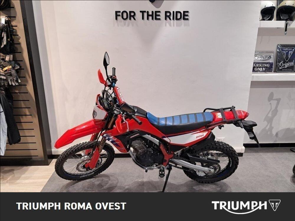 Honda CRF 300 L (2025) (10)