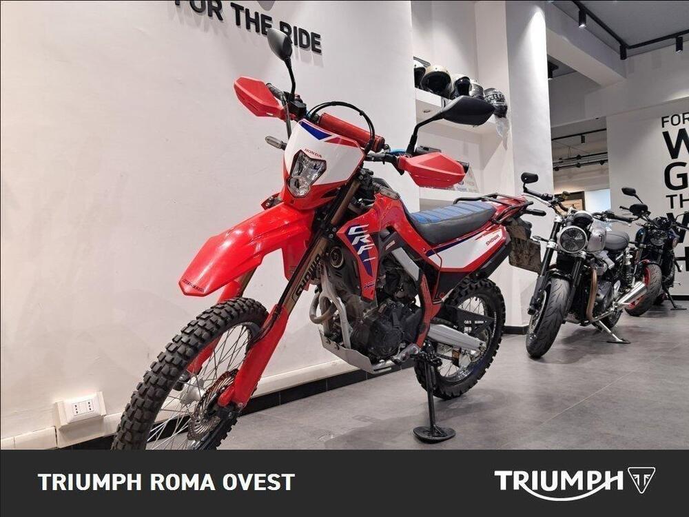 Honda CRF 300 L (2025) (8)