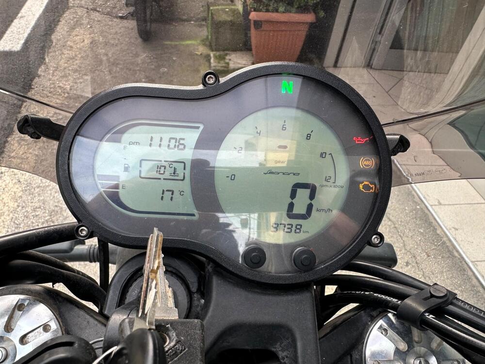 Benelli Leoncino 500 (2021 - 25) (3)