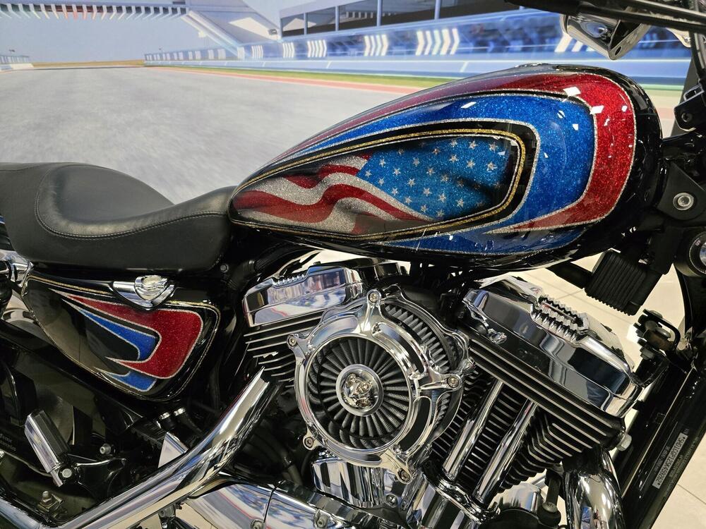 Harley-Davidson 1200 Custom (2004 - 06) - XL 1200C (16)