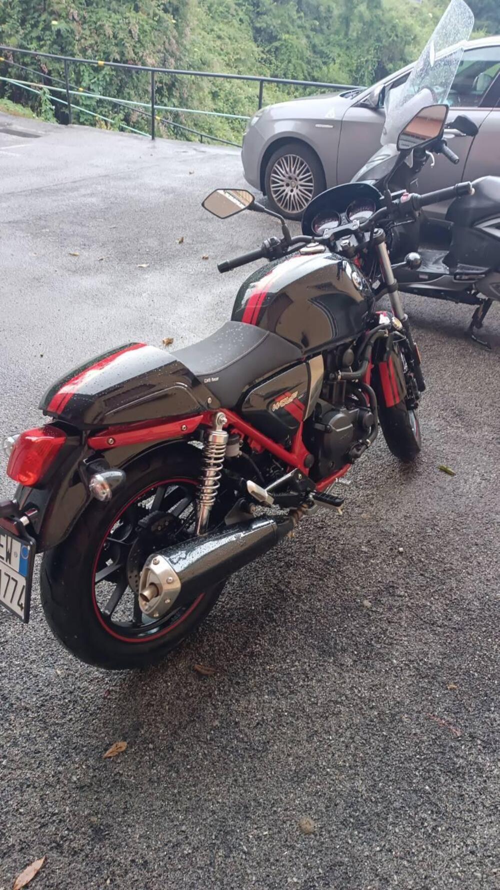 Sym Wolf CR 300 (2019 - 20) (2)