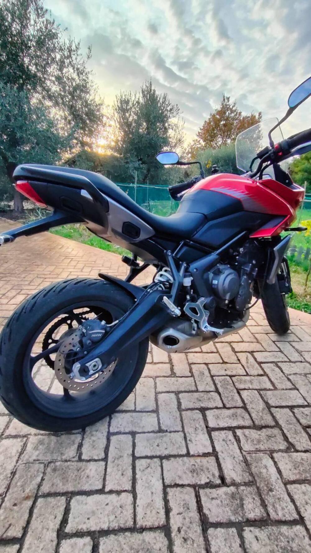 Triumph Tiger Sport 660 (2022 - 24)