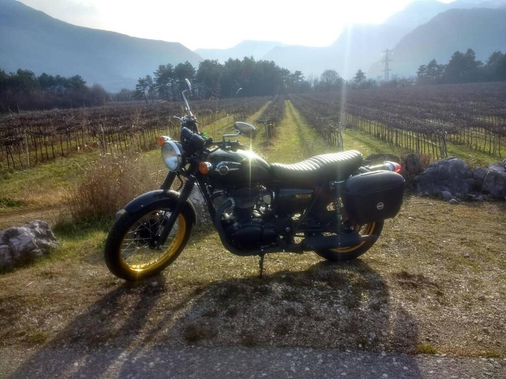 Kawasaki W 800 (2010 - 17) (3)