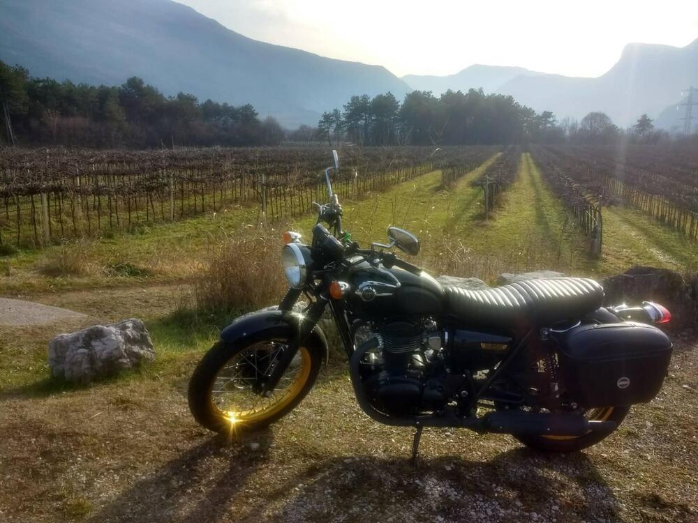 Kawasaki W 800 (2010 - 17) (4)