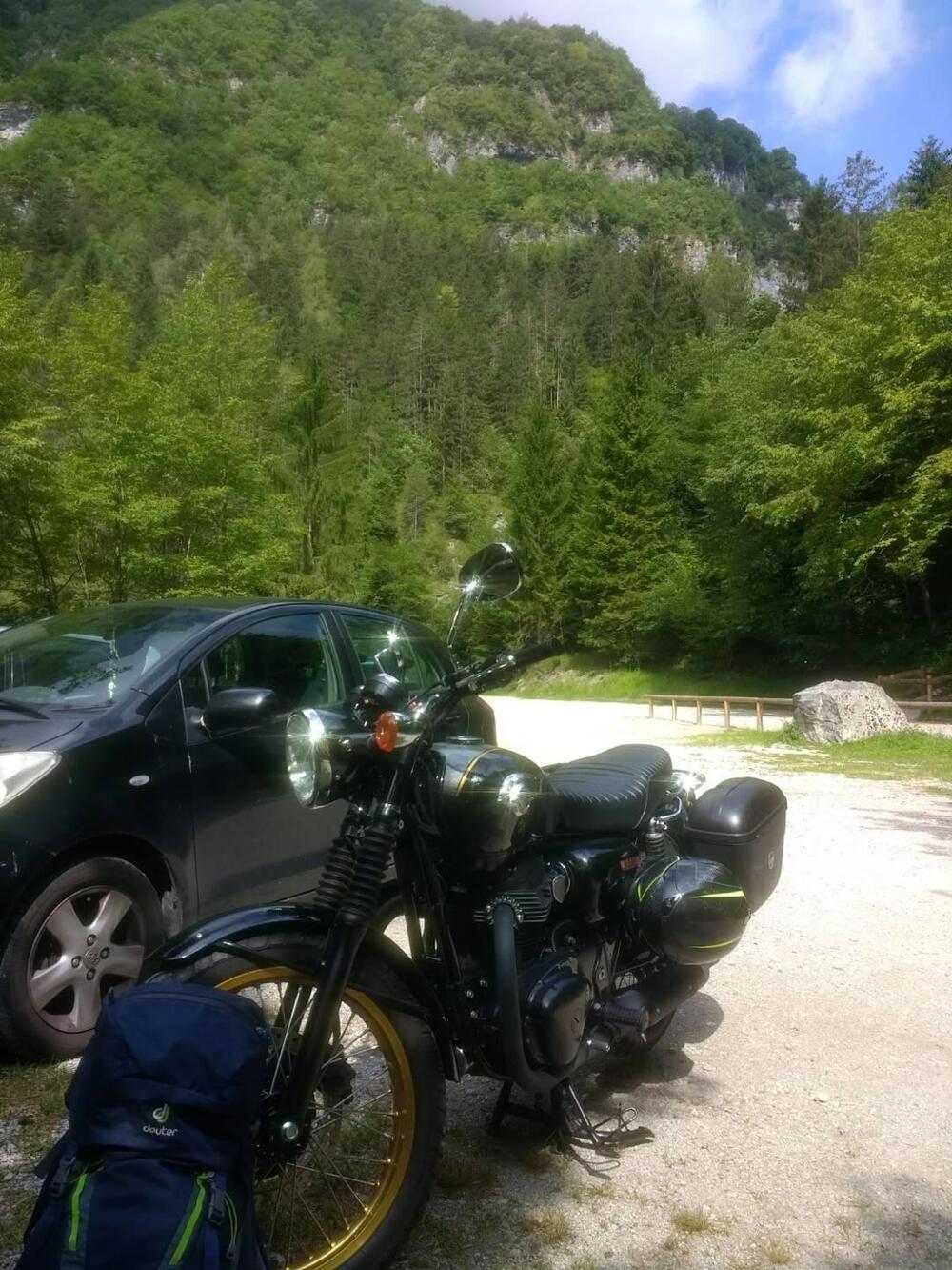 Kawasaki W 800 (2010 - 17) (6)