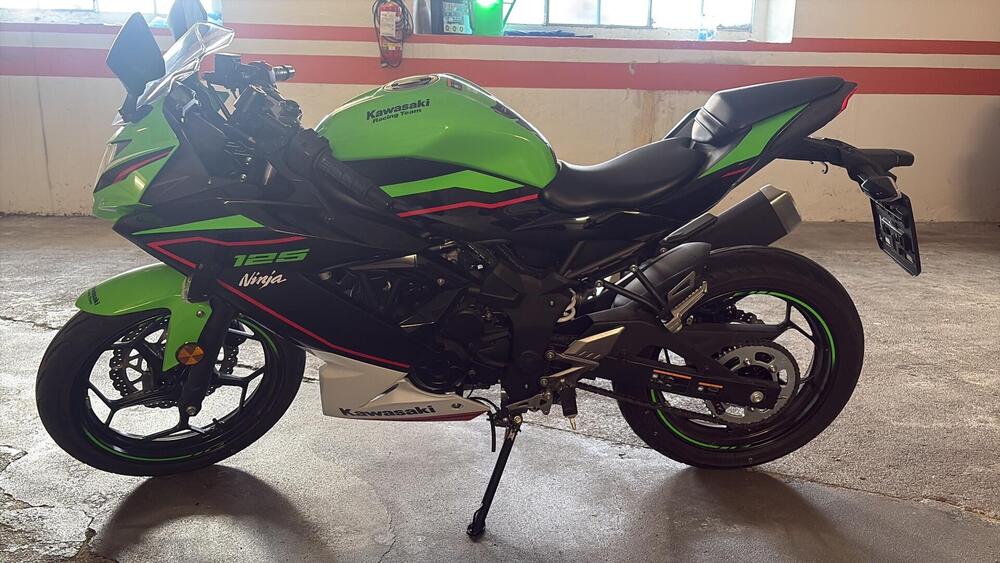 Kawasaki Ninja 125 (2019 - 20)