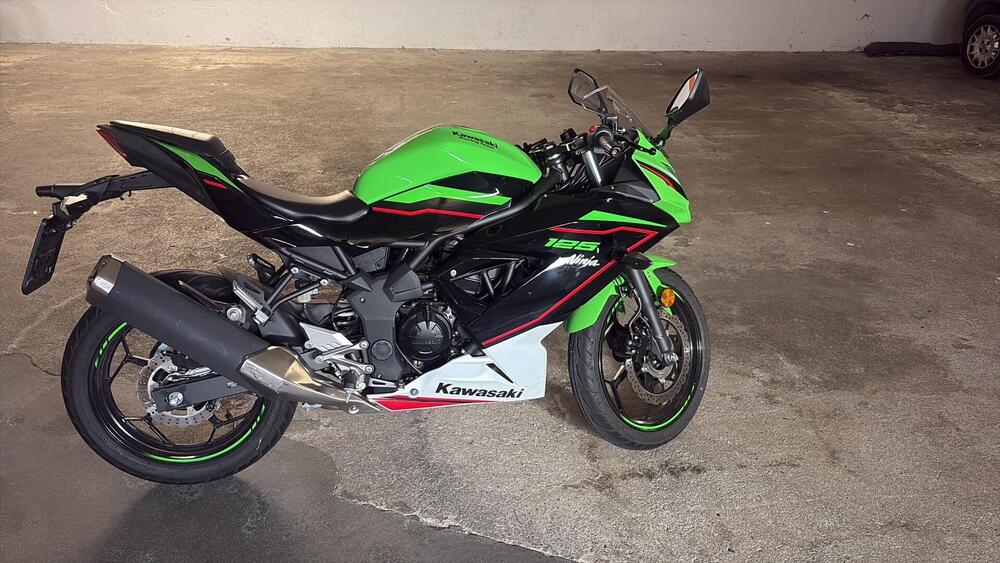 Kawasaki Ninja 125 (2019 - 20) (2)