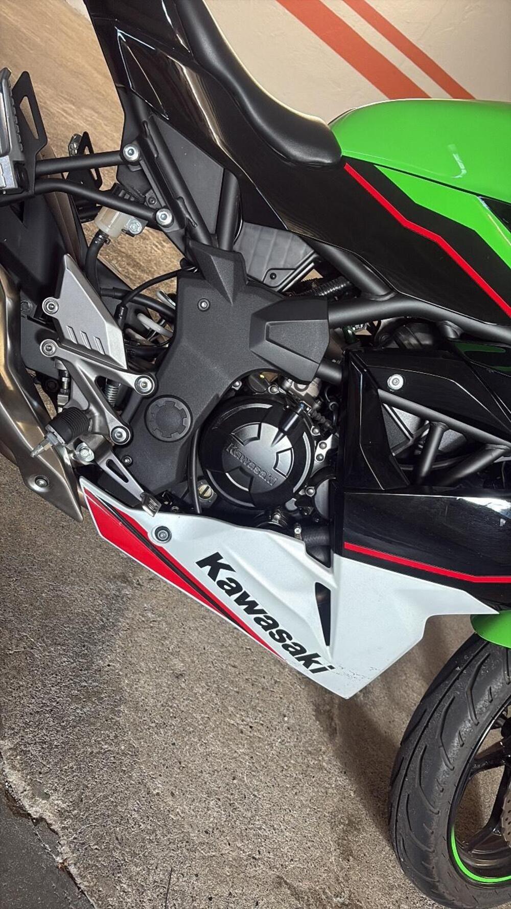 Kawasaki Ninja 125 (2019 - 20) (3)