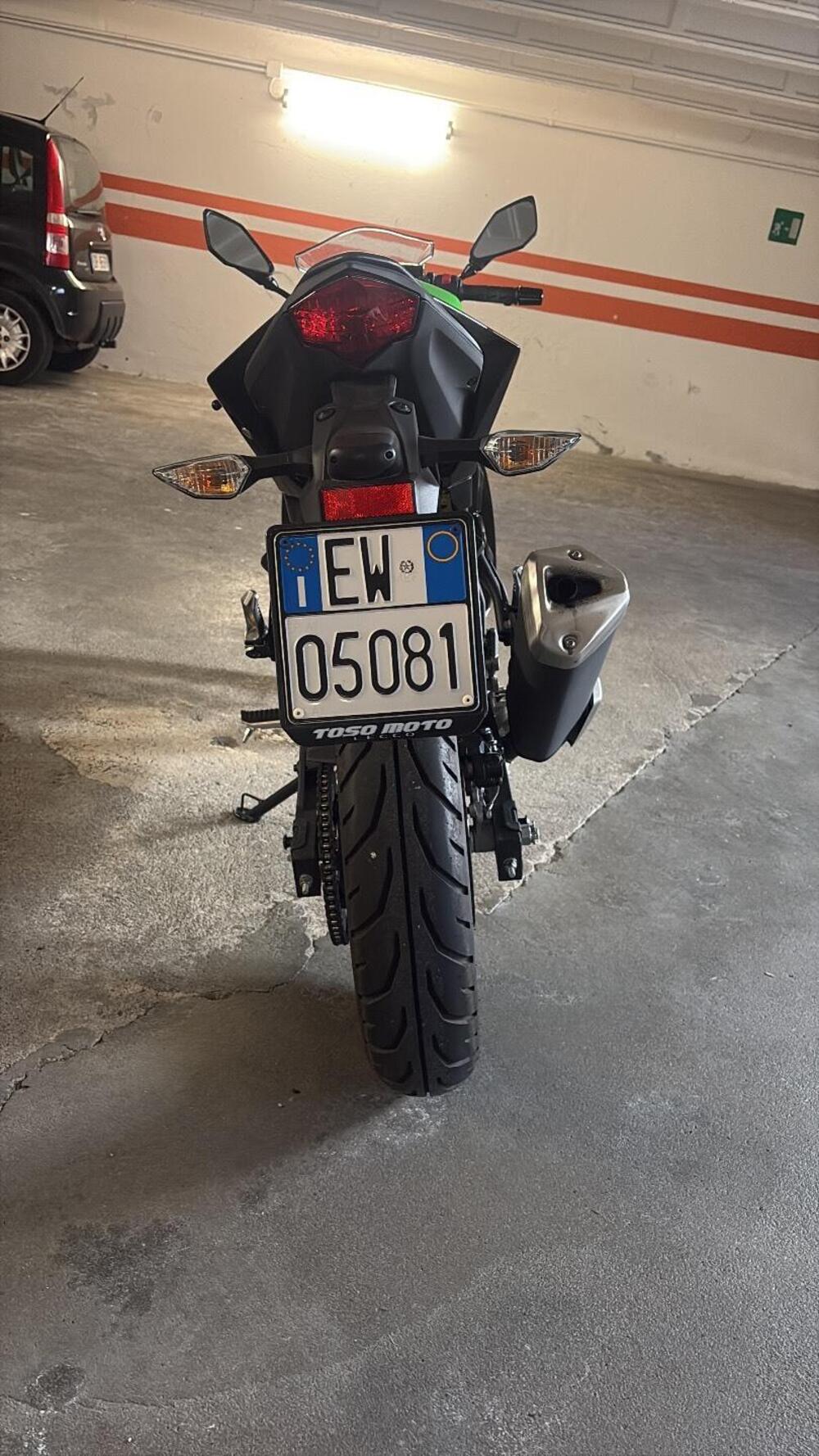 Kawasaki Ninja 125 (2019 - 20) (4)