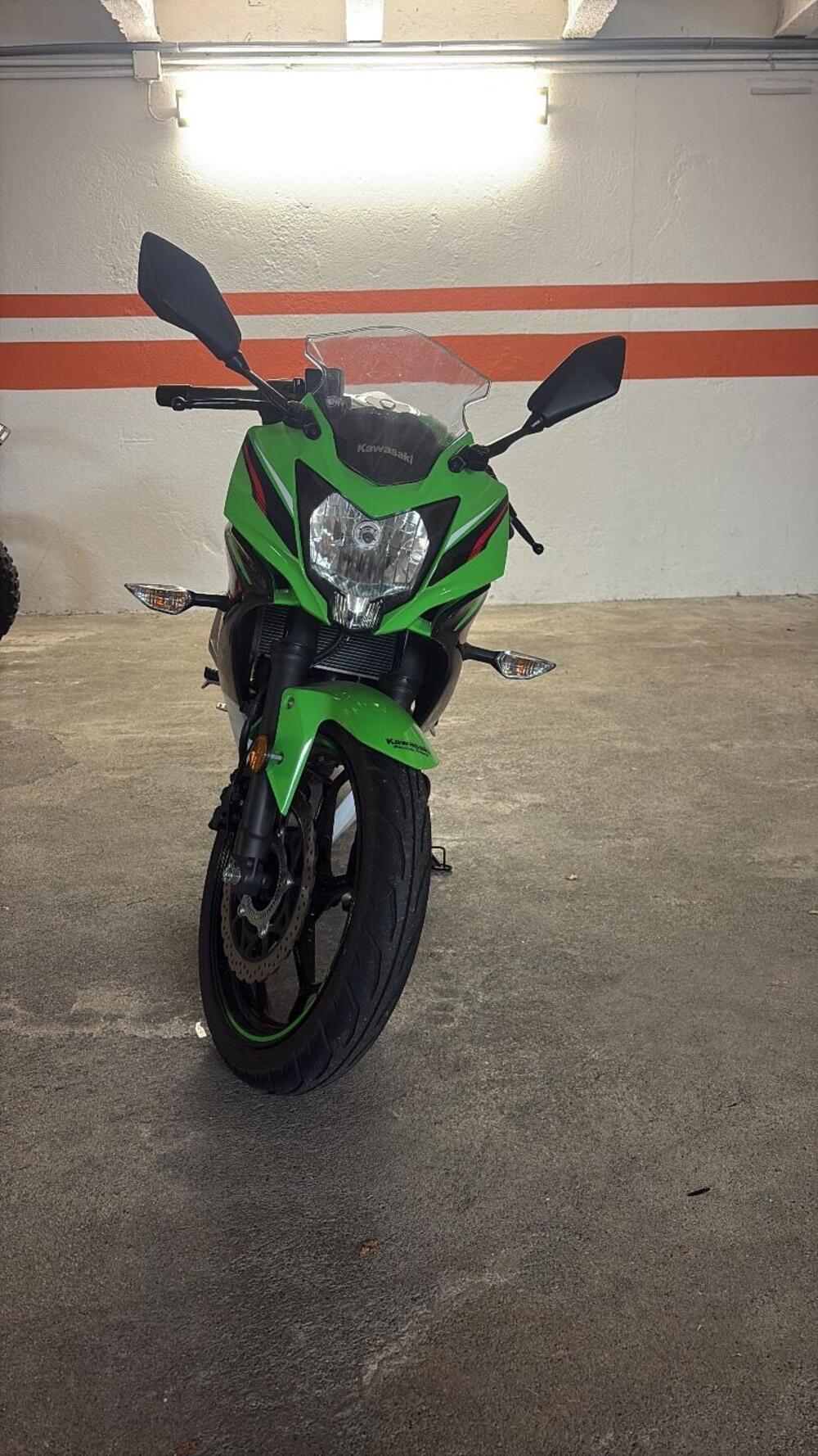 Kawasaki Ninja 125 (2019 - 20) (5)