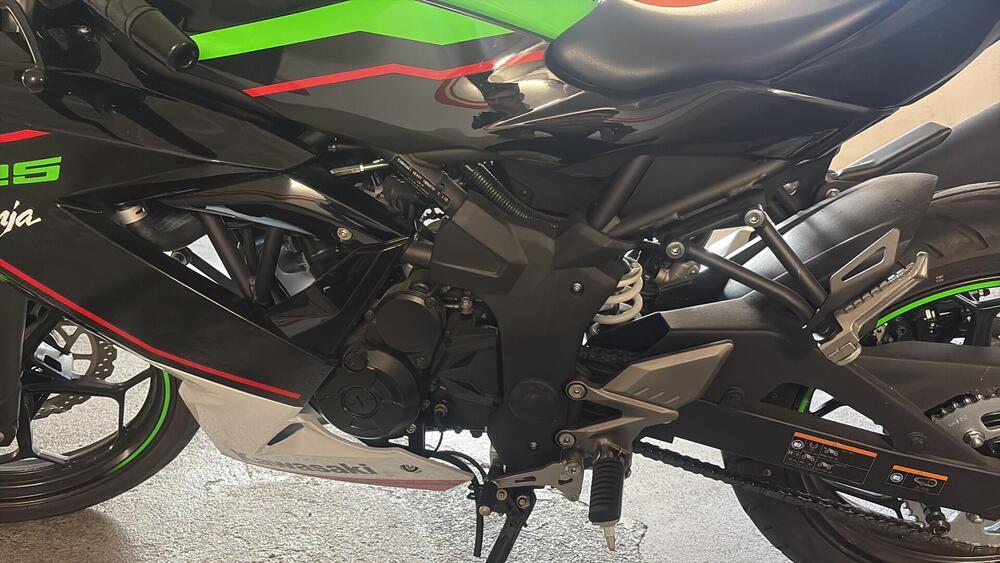 Kawasaki Ninja 125 (2019 - 20) (6)
