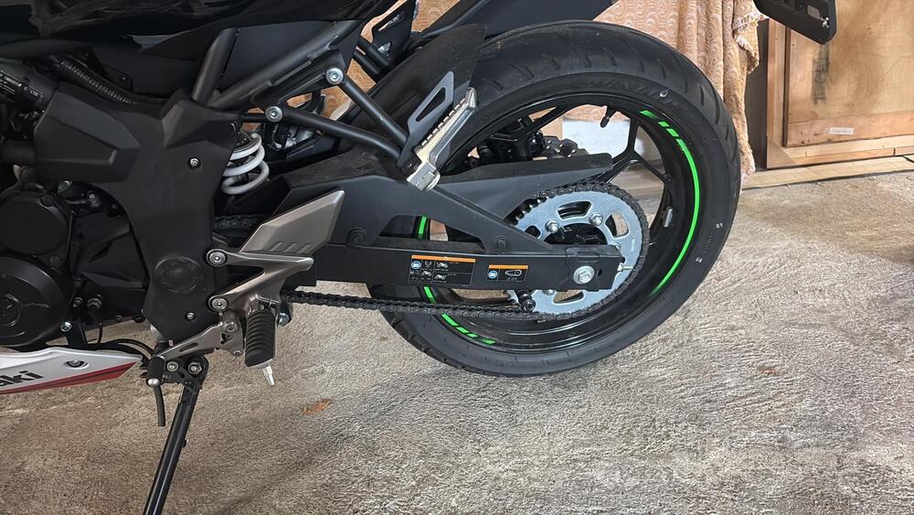 Kawasaki Ninja 125 (2019 - 20) (7)