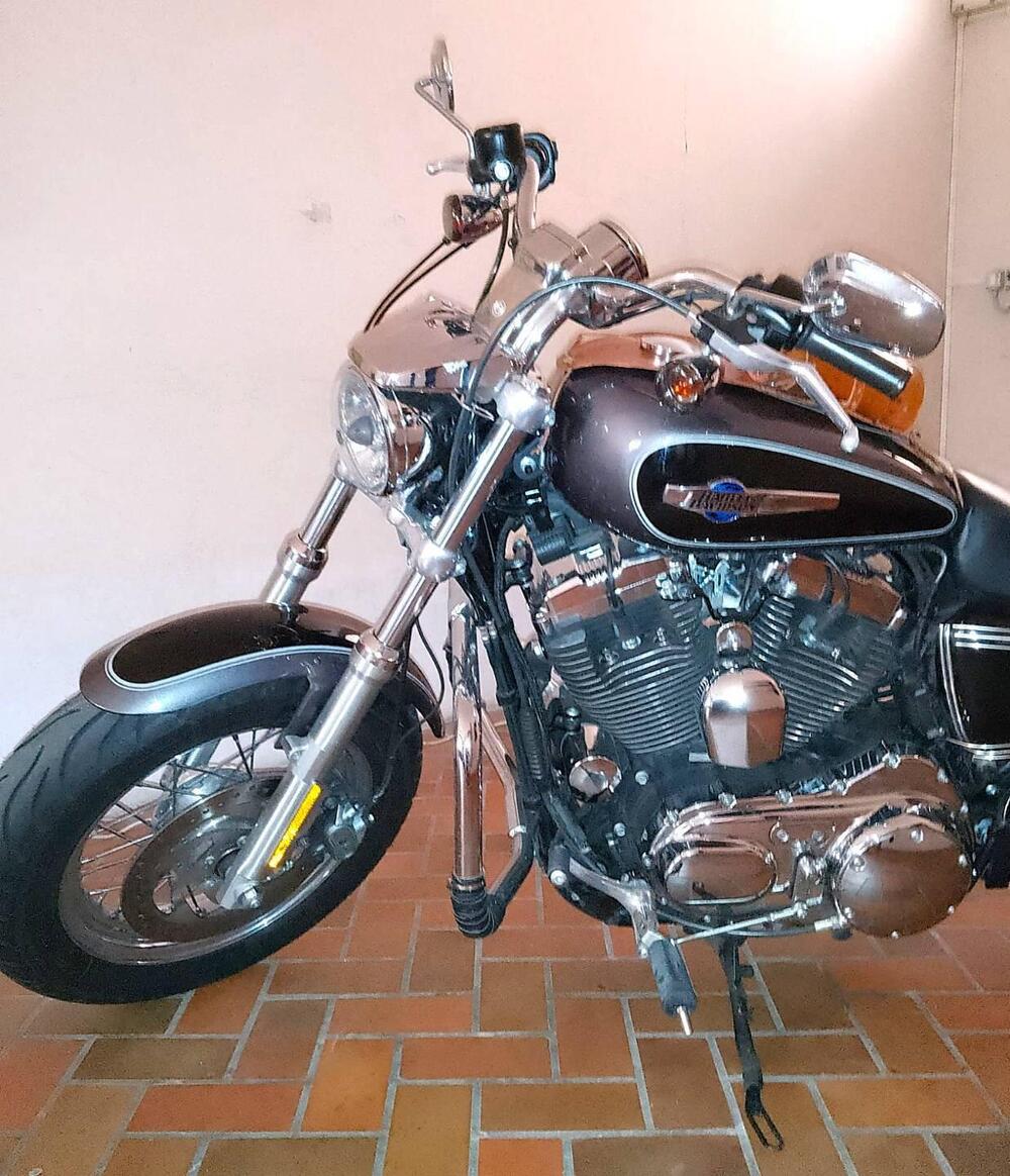 Harley-Davidson 1200 Custom ABS (2014 - 16) - XL 1200C (5)