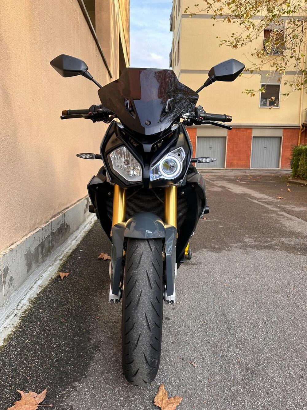 Bmw S 1000 R (2017 - 20) (2)