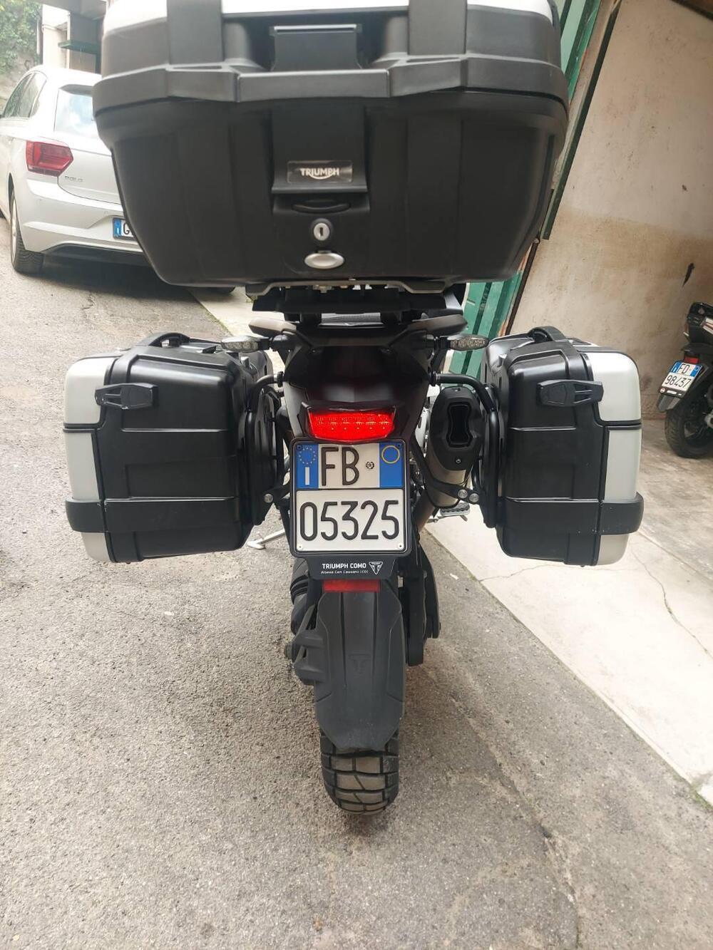 Triumph Tiger 1200 Rally Pro (2022 - 23) (2)