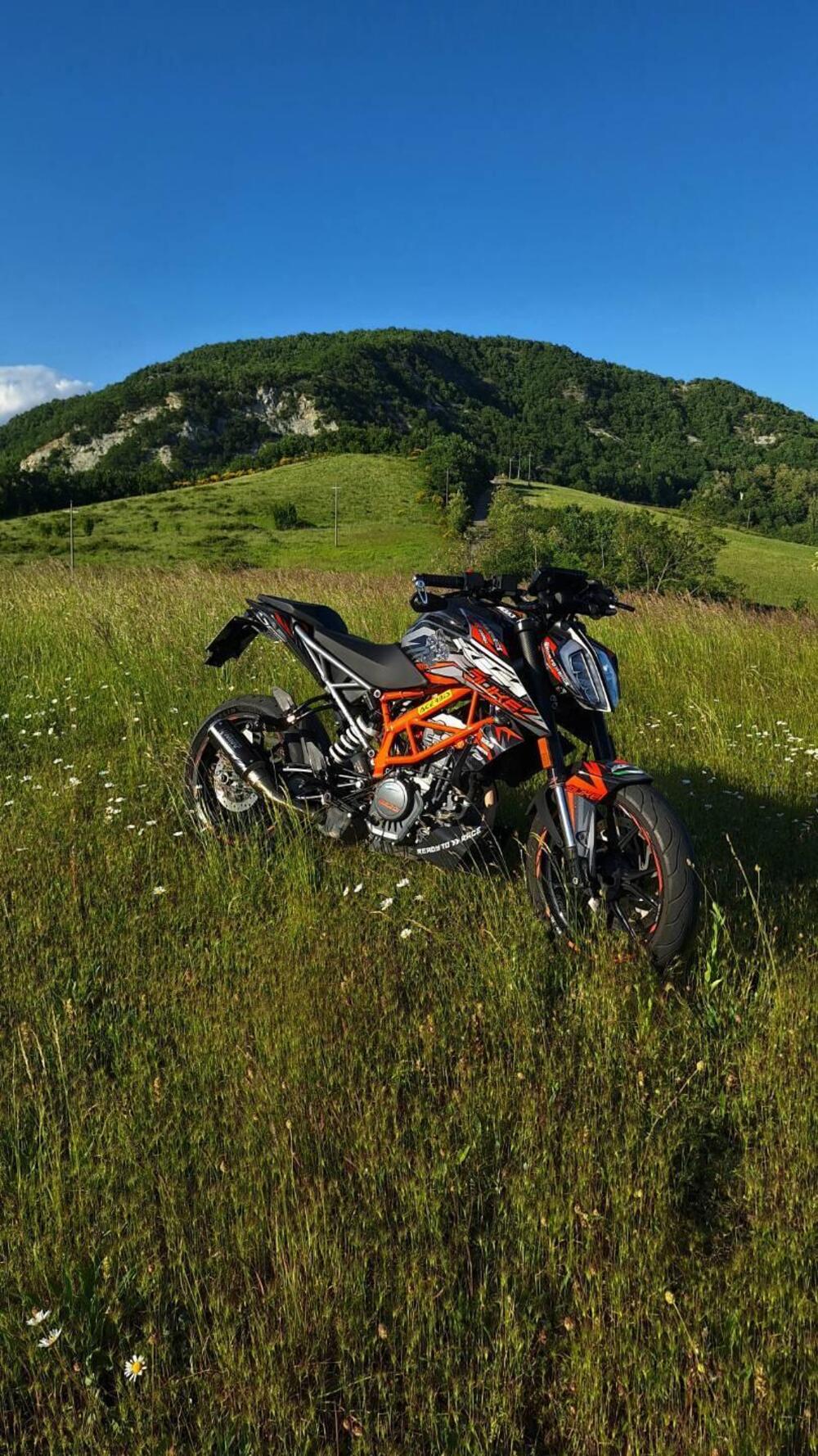 KTM 125 Duke (2021 - 23) (7)