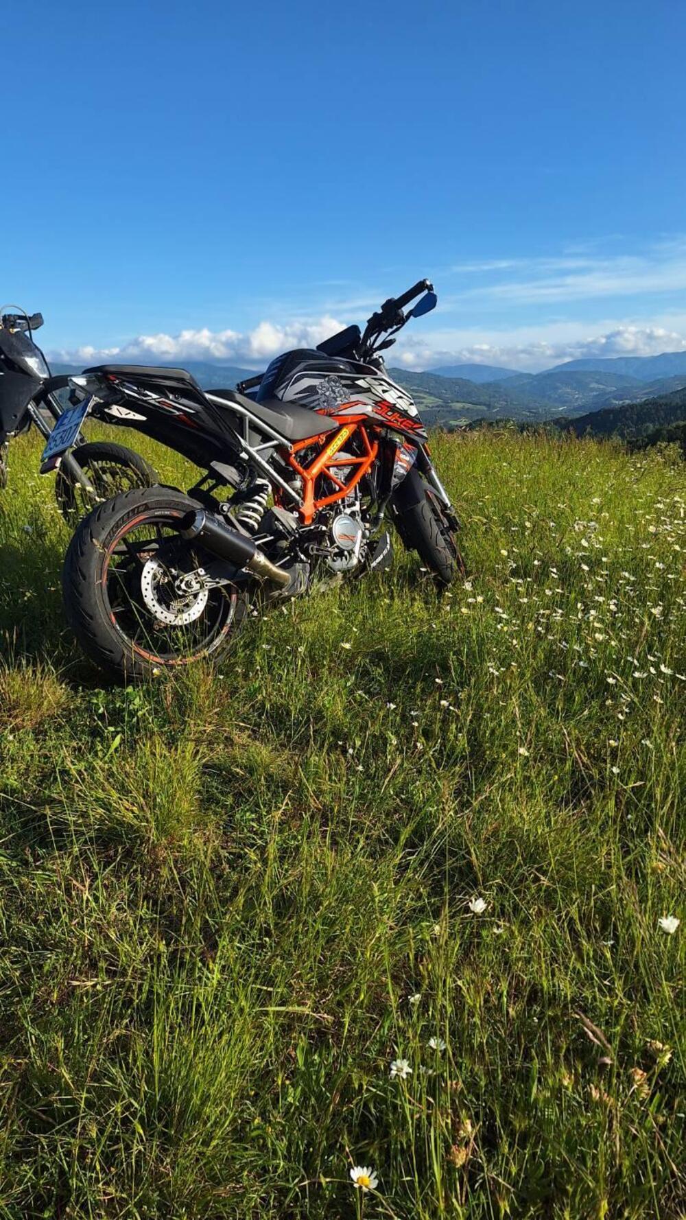 KTM 125 Duke (2021 - 23) (10)