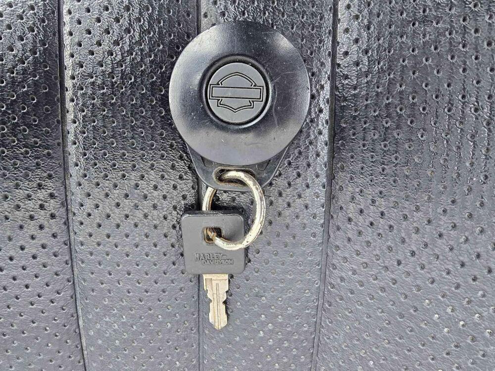 Harley-Davidson 883 Custom (2006 - 07) - XL 883C (21)