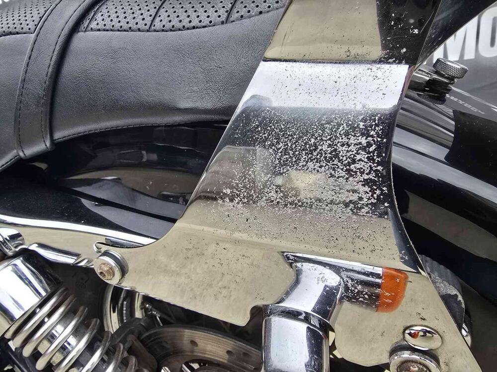 Harley-Davidson 883 Custom (2006 - 07) - XL 883C (7)