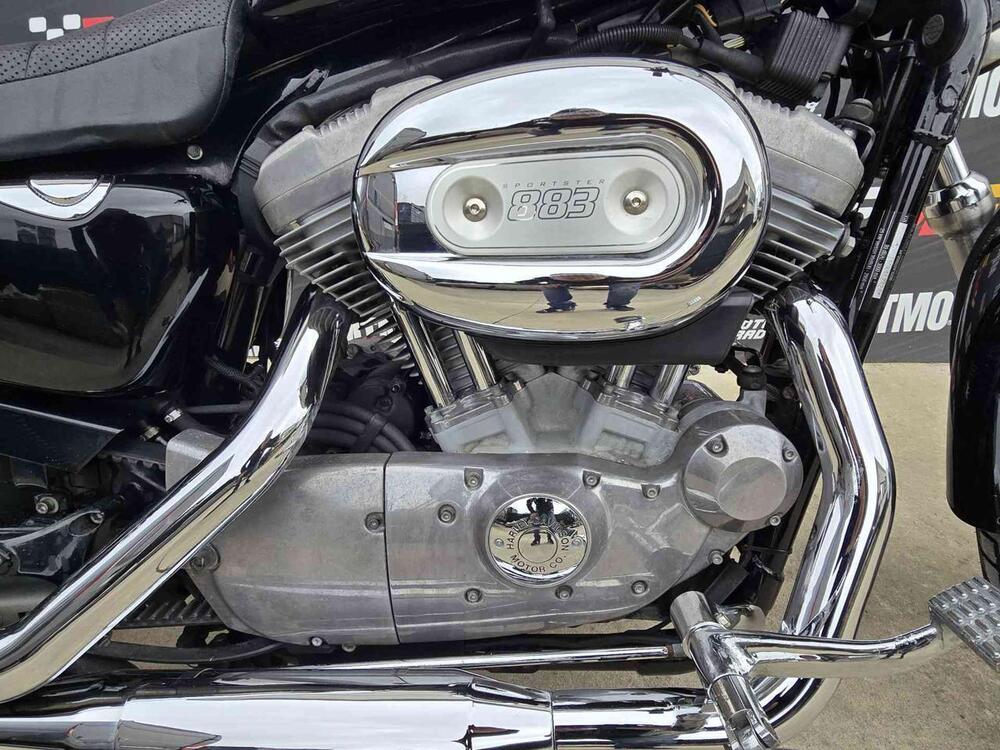 Harley-Davidson 883 Custom (2006 - 07) - XL 883C (4)
