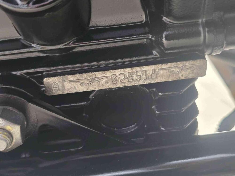 Moto Guzzi V7 III Stone (2017 - 20) (19)