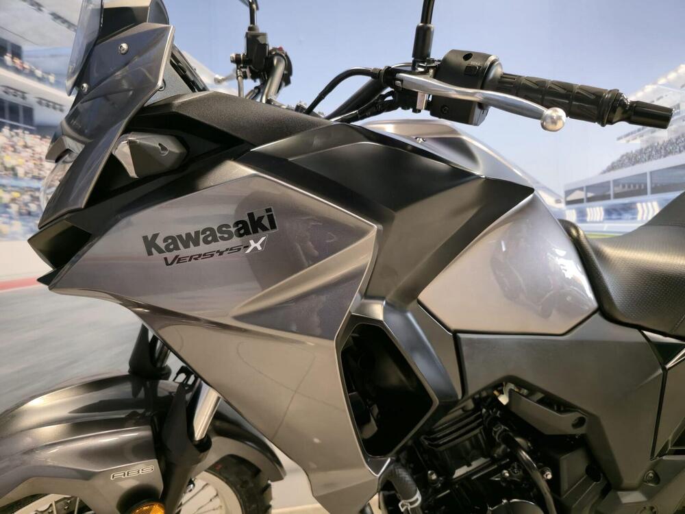 Kawasaki Versys-X 300 (2017 - 20) (17)