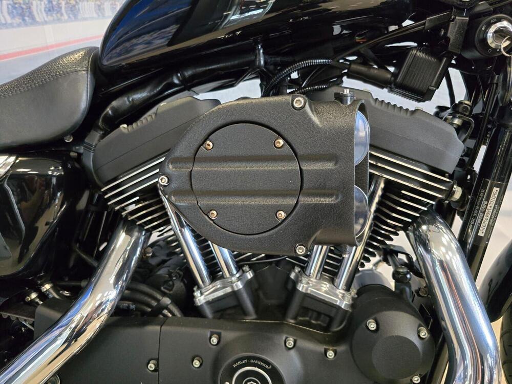 Harley-Davidson 1200 Roadster (2006 - 08) - XL 1200R (19)