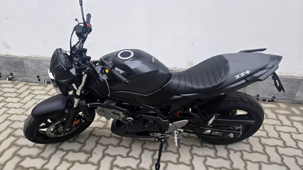 Suzuki SV 650 (2016 - 20) (4)