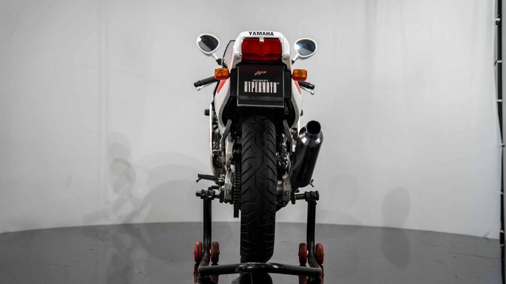 Yamaha FZR 250 R (8)