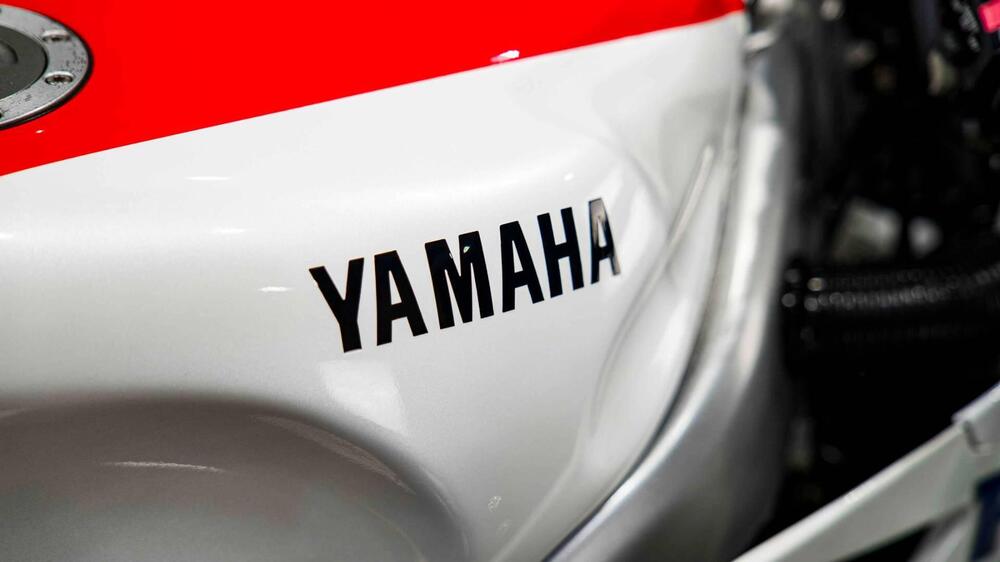 Yamaha FZR 250 R (10)