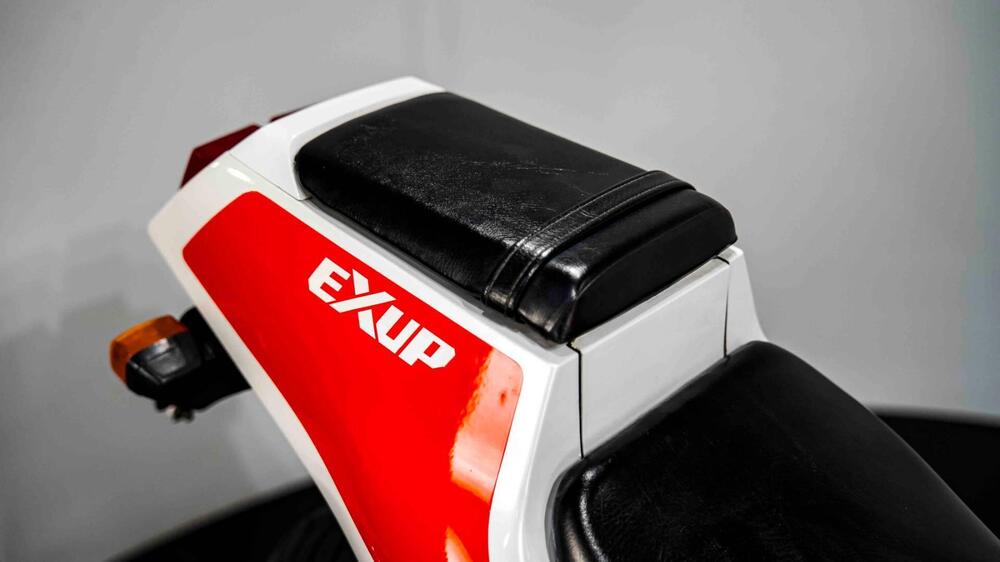 Yamaha FZR 250 R (11)