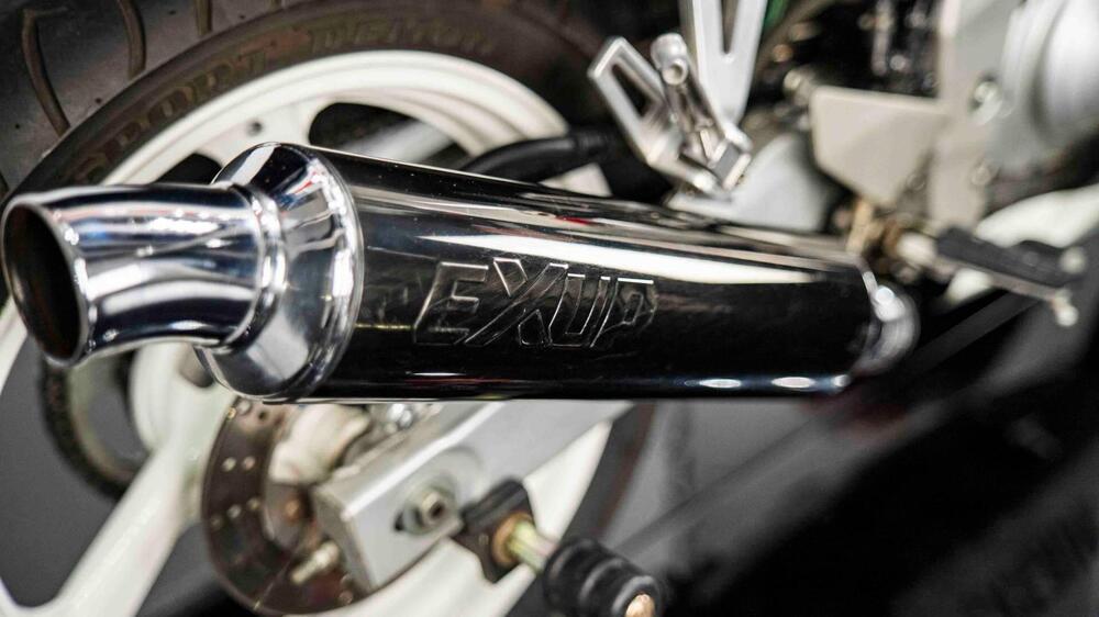 Yamaha FZR 250 R (12)