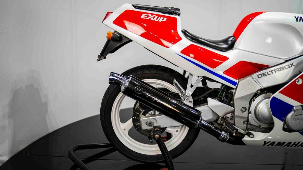 Yamaha FZR 250 R (17)