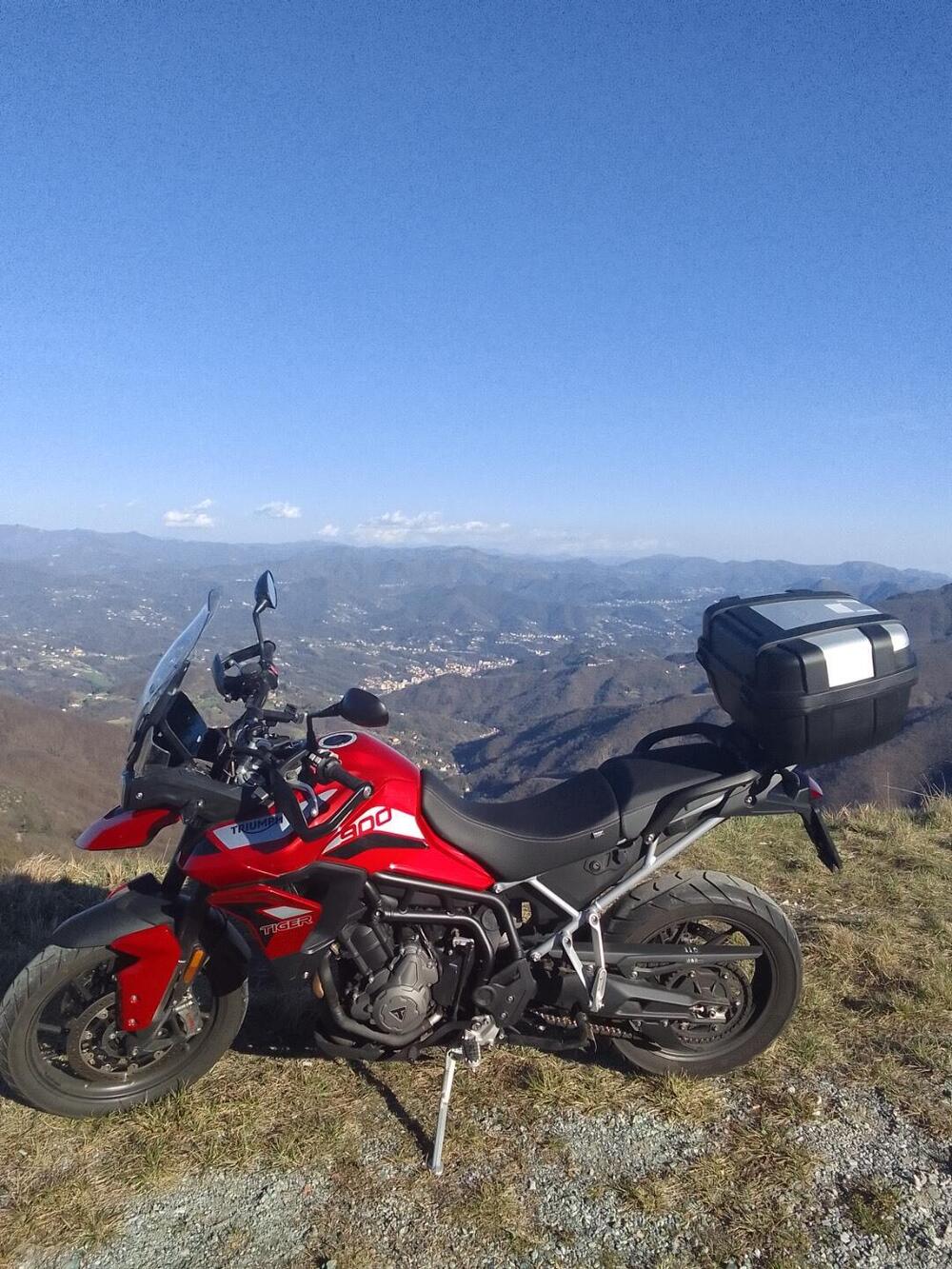 Triumph Tiger 900 GT Pro (2020 - 23) (5)