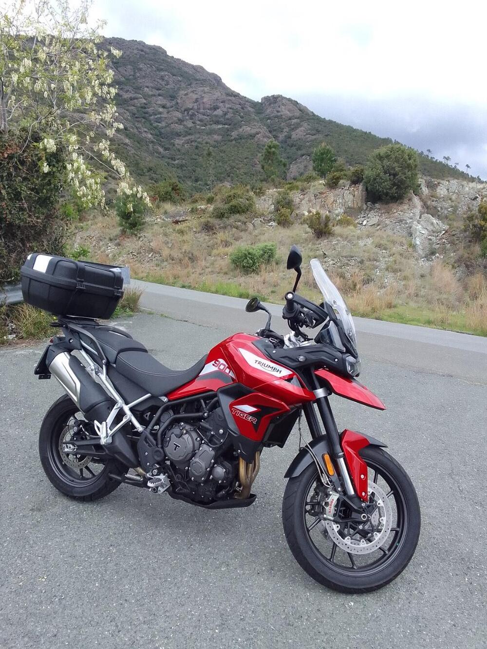 Triumph Tiger 900 GT Pro (2020 - 23) (7)