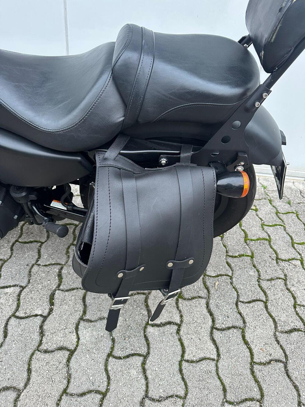 Harley-Davidson 883 Iron (2009 - 11) - XL 883N (8)