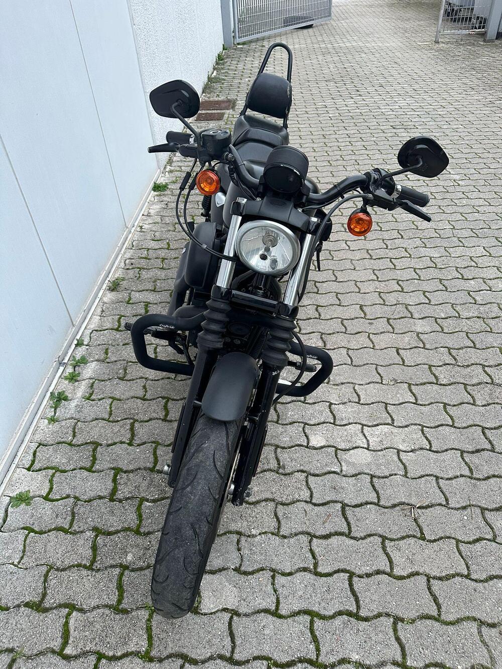 Harley-Davidson 883 Iron (2009 - 11) - XL 883N (11)