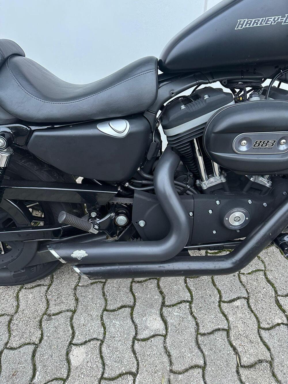 Harley-Davidson 883 Iron (2009 - 11) - XL 883N (12)