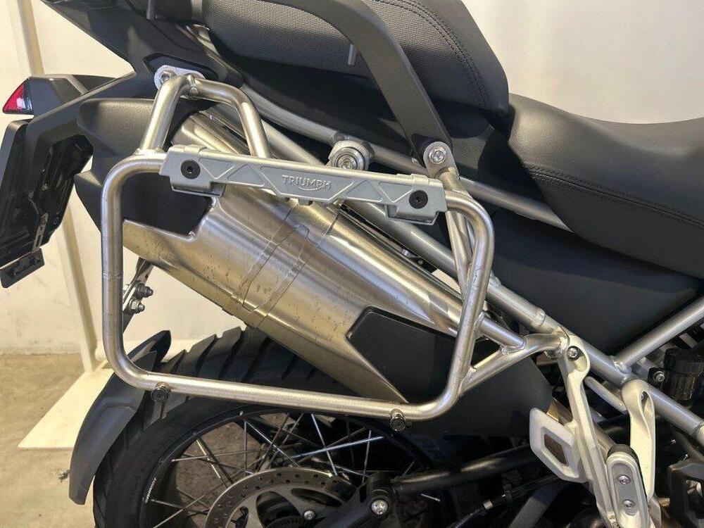 Triumph Tiger 1200 Rally Pro (2024 - 25) (10)