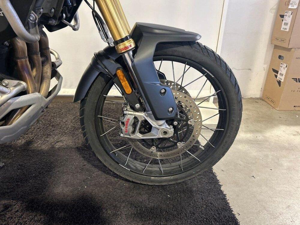 Triumph Tiger 1200 Rally Pro (2024 - 25) (8)