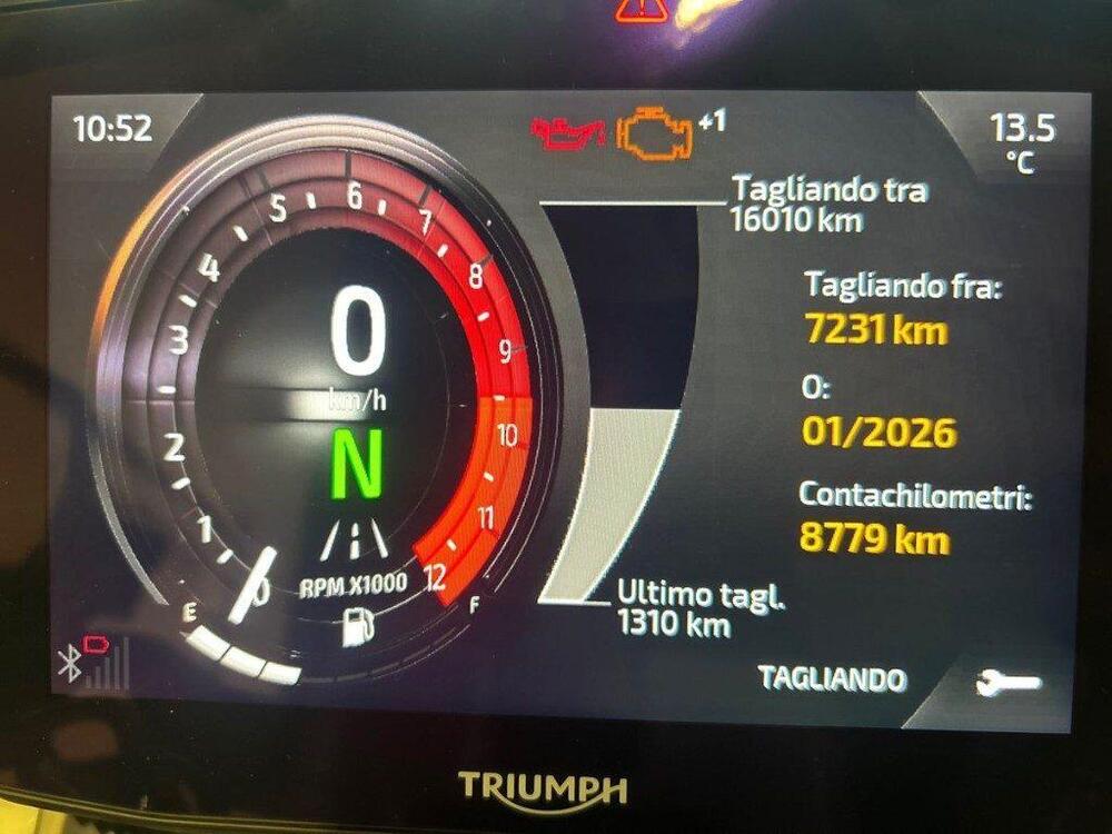 Triumph Tiger 1200 Rally Pro (2024 - 25) (6)